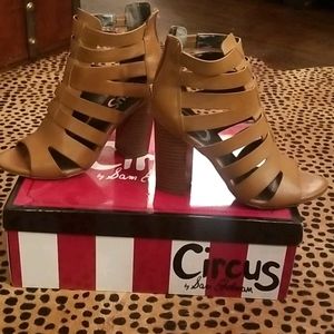 Circus by Sam Edelman York Sandal in Saddle